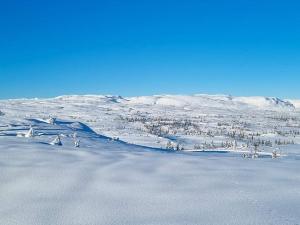 康斯博Turibu - cabin in a nice hiking and skiing area的一群在雪中行走的动物