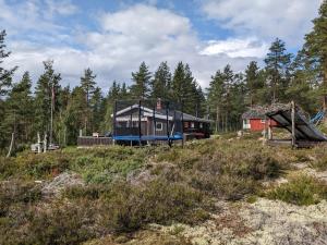 康斯博Turibu - cabin in a nice hiking and skiing area的树木林立的田野中的房子