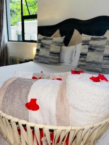 曼齐尼Skyfly Bed & Breakfast的一张床上的毯子,上面有红色的鲜花