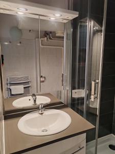 热拉梅普莱桑斯公寓酒店的一间带水槽和淋浴的浴室