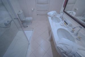布拉格自由酒店的一间带水槽、卫生间和镜子的浴室