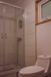 巴拉斯港Casa loft con opción de tina temperada的一间带卫生间和玻璃淋浴间的浴室