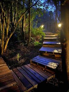 巴拉斯港Casa loft con opción de tina temperada的森林中一排木台阶