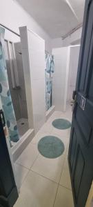 里斯本Samps Hostel的带淋浴的浴室和2张绿色地毯。