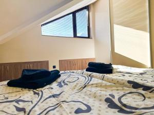班斯科IZ VIEW Apartment的一间卧室配有一张带两个枕头的床