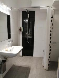 格拉茨Lend-FEWO -free Parking- Self Check-in的白色的浴室设有水槽和淋浴。