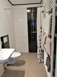 格拉茨Lend-FEWO -free Parking- Self Check-in的浴室配有卫生间、盥洗盆和淋浴。