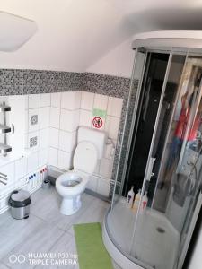 莱斯诺夫Rasnov Retreat的设有带卫生间和淋浴的玩具浴室