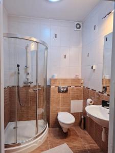克雷尼察Apartament Gwiazda 503的带淋浴、卫生间和盥洗盆的浴室