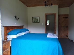 Totara FlatAhaura Lodge & Waterwheel Farm Stay的一间卧室配有蓝色大床和蓝色枕头