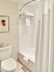 德梅因德梅因市中心怜悯校区假日酒店的一间带卫生间和淋浴帘的浴室