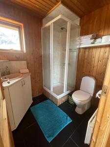 StapiGlass House with Private River & 360° Views的浴室配有卫生间、盥洗盆和淋浴。