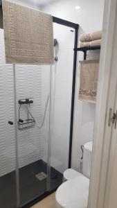 圣波拉Apartamento Pepi Adults Only的浴室设有玻璃淋浴间和卫生间