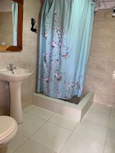 伊察Hamuy's Lodge的浴室设有淋浴帘、卫生间和水槽