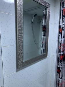 伊察Hamuy's Lodge的浴室设有镜子和淋浴