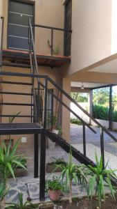 纳瓦罗Hostal El soleado的植物丛屋前的楼梯