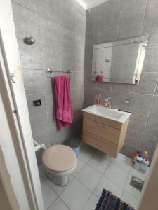 桑托斯Residência RCA13的一间带卫生间、水槽和镜子的浴室