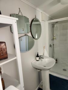 怀卡奈'Haumoana' in Olde Beach.的一间带水槽、淋浴和镜子的浴室