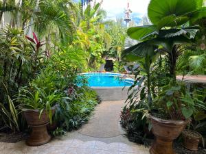 蔻立奥勒2K泳池公寓的一个带游泳池和一些植物的花园