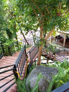 苏梅岛PawPaw Resort的木人行道,长凳和一棵树