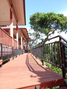 苏梅岛PawPaw Resort的木人行道,毗邻一棵树的建筑
