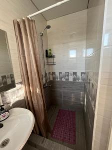 卡拉科尔Karakol Yurt Lodge & Homestay的带淋浴和盥洗盆的浴室