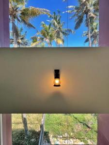 瓦尔卡拉BAVA Lalitha Retreat Center Varkala的棕榈树窗户的房间里光线充足
