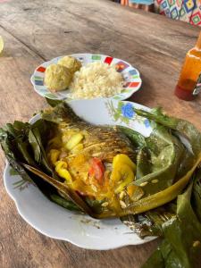 莱蒂西亚Hostal Búho Amazonas tours的桌上有鱼和米饭的盘子