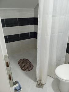 索科矿泉村Studio Lep odmor的带淋浴、卫生间和地毯的浴室