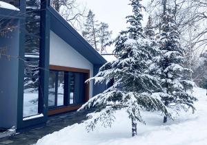 SokirnoSunrise Sokirna的房子前面的雪覆盖的树