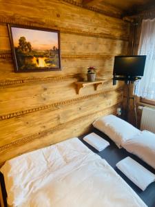 布科维纳-塔钱斯卡Bukovina Concept Mountain的一间卧室设有两张床,墙上配有电视。