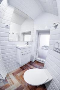 布达佩斯Tóni Villa的白色的浴室设有卫生间和水槽。