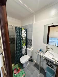 胡塞马Les IRIS的一间带卫生间和水槽的浴室