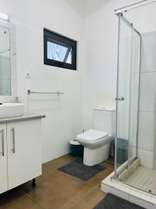 DavidTwin House #1的一间带卫生间和玻璃淋浴间的浴室