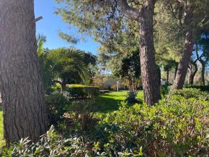 莱切Villa Margherita的绿草如茵的公园