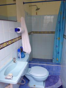 蓬塔赫尔莫萨Hospedaje Punta Hermosa的浴室配有卫生间、盥洗盆和淋浴。