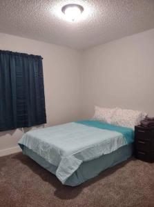 矿泉井城Serene 4 BR Home Near Weatherford-19 Minute Drive的一间卧室配有一张带蓝色毯子的床和窗户。