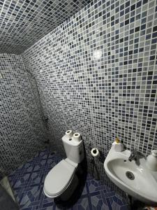 非斯Riad Fes Unique的一间带卫生间和水槽的浴室