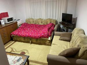 GrahovišteApartman Delfin的客厅配有一张带红色毯子的沙发
