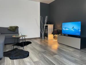 巴尔维Balvi flat的带沙发和平面电视的客厅