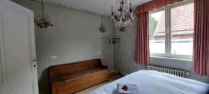 布鲁日Heerlijke Studio in centrum van Brugge的一间卧室设有一张床、一个窗户和一个吊灯。