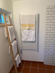弗雷德里克斯伐克Artist Studio的浴室内带毛巾的毛巾架