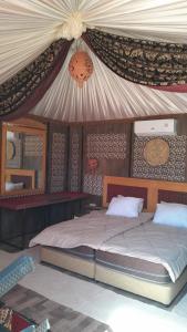 瓦迪拉姆Hakuna matata desert camp的一间卧室配有一张带天蓬的大床