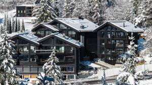 莱克斯Black Summit Boutique Resort Laax的雪中房屋的图像