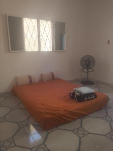 努瓦克肖特Dar Daoudi的配有风扇的客房内一张带橙色毯子的床