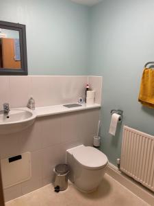 阿克斯桥Spacious Apartment near Heathrow with Allocated Parking的浴室配有白色卫生间和盥洗盆。