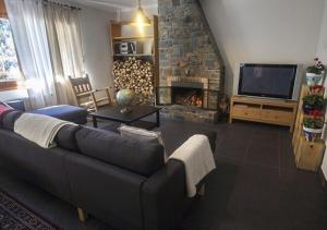 厄茨XALET CARLEMANY (Casa entera /hab.)的带沙发和壁炉的客厅