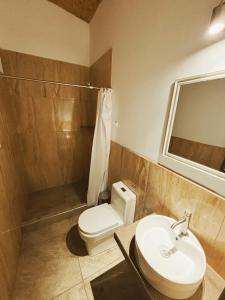 万卡约Hotel Vista Verde的浴室配有卫生间、盥洗盆和淋浴。