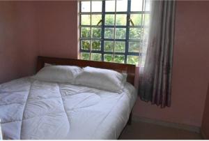 MarindeThe D'Lux Home, Homa Bay的一张带白色枕头的床和窗户