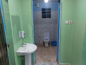 MarindeThe D'Lux Home, Homa Bay的一间带水槽和卫生间的浴室